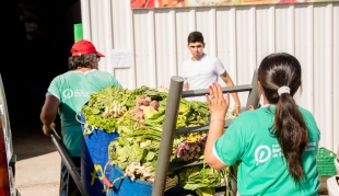 Rescate y distribución de alimentos